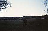GOE II 4º 1990 013